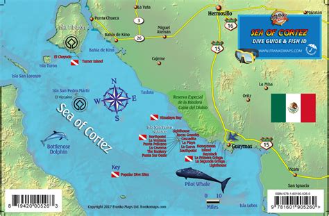 Training and certification options for MAP Map Of Sea Of Cortez